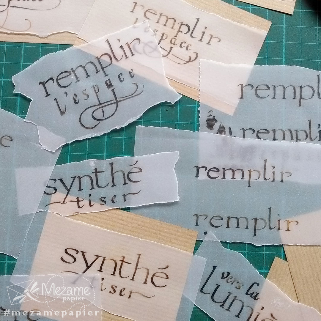 Calligraphie latine à l'encre sépia sur papier calque
